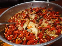 水煮鲶鱼-望京一号(菜户营店)