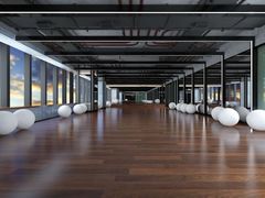 -金吉鸟健身游泳