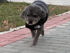 -瀛海足球主题公园