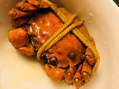 -黄记大闸蟹专卖店·活蟹·醉蟹