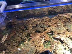 -V-ONE西雅图海鲜自助餐厅(仓山万达广场店)