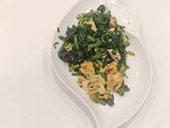 -巧妈月嫂•育婴师(兰州中心店)