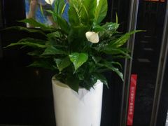 -湘与香缘·湖南菜(王府井北京市百货大楼店)