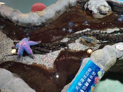 -大连圣亚海洋世界