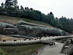 -三水森林公园