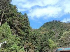 -祁门牯牛降观音堂风景区