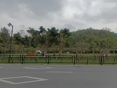 -野狸岛