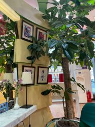 -艺米阳光Hair Salon