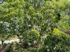 -东怡大酒店(上海科技馆店)