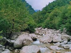 -青峰峡国家森林公园