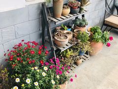 -凤来栖·净庭院·火锅(欧尚店)