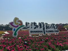 -上海鲜花港