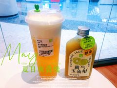 芝士茉莉初雪-奈雪的茶(佛山顺德美的悦然广场店)