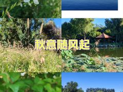 -太阳宫公园