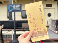 -武汉知音号