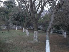 -辽宁大学(崇山校区)