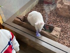 -昆明大悦城未来动物城(螺蛳湾中心店)