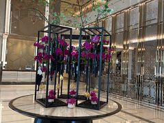 -彩丰楼·中餐厅(国家会展中心上海洲际店)