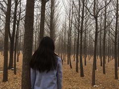 -汉景帝阳陵博物院