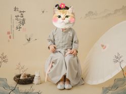 -倾城宝贝儿童摄影(合肥店)
