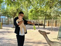 -水上乐园·欢乐世界