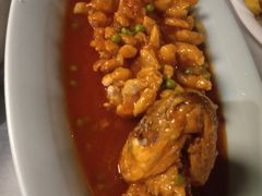 松鼠鱼-乾园(天河城店)