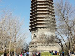 -玲珑塔公园