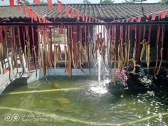 -寻味肇庆·八姑农庄·广府西江菜