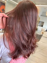 -潘多拉Hairsalon