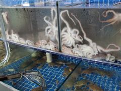 水产区-蟹谢蒸鲜自助餐厅