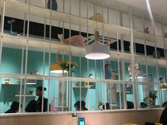 大堂-蛙蛙叫·干锅年代(钻石广场店)