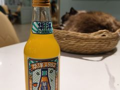 -安格丽娜·狗咖·猫咖羊驼咖(春熙路百盛商场店)