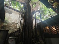 -文儒九号·闽菜馆(三坊七巷店)