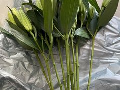 -循礼门鲜花花市(武汉循礼门店)