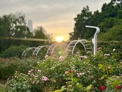 -人民公园(罗湖区)