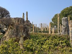 -狼山风景名胜区