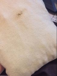 -海茱雅科技健康美容