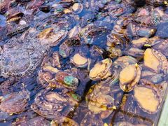 -集品鲜湾·蒸汽海鲜自助料理(青岛银座和谐广场店)