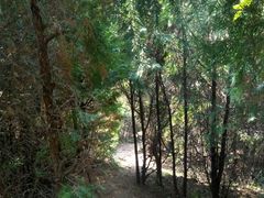 -云峰山自然风景区