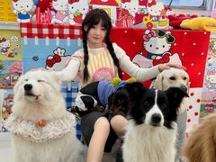 -汪说·狗咖·拼豆·宠物周边DIY(旺城大厦店)