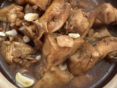-邵年鸽(杨庄店)