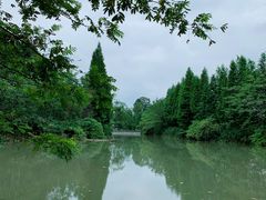 -桤木河湿地公园