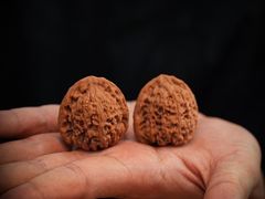 -世界贸易大厦
