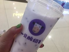 -一只酸奶牛(来福士店)