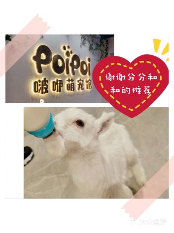 带娃与萌宠亲密接触，六一更优惠。