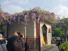 -郑和公园