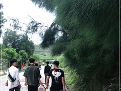 -大姆山草场