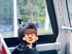 -BUS TOUR观光巴士
