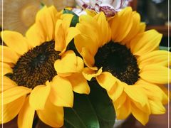 -七彩云南茶(七彩云南第壹城店)