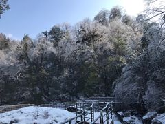-龙苍沟森林公园